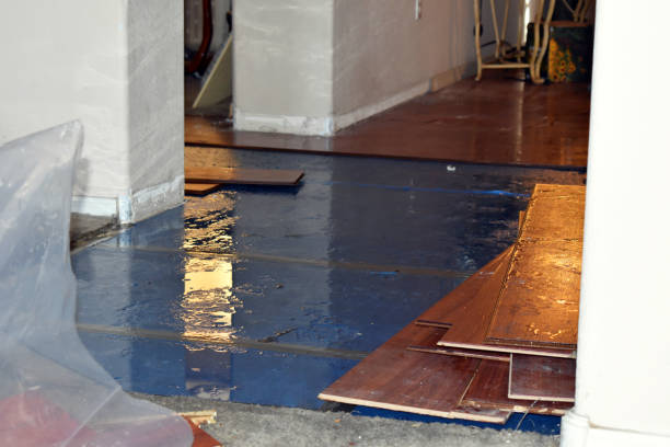 Professional Flood Damage Repair technician working in Forestdale, MA
